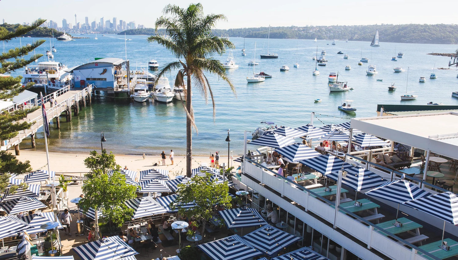 Basil Bangs Go Large