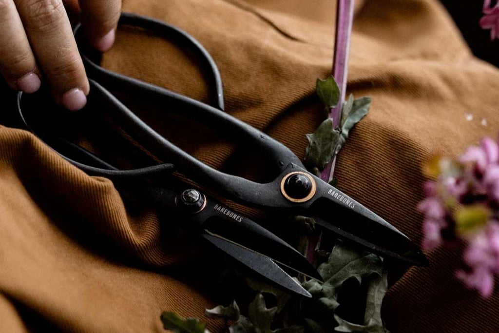 Barebones Pruning Shears