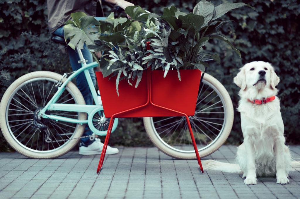 Fermob High Planter Basket