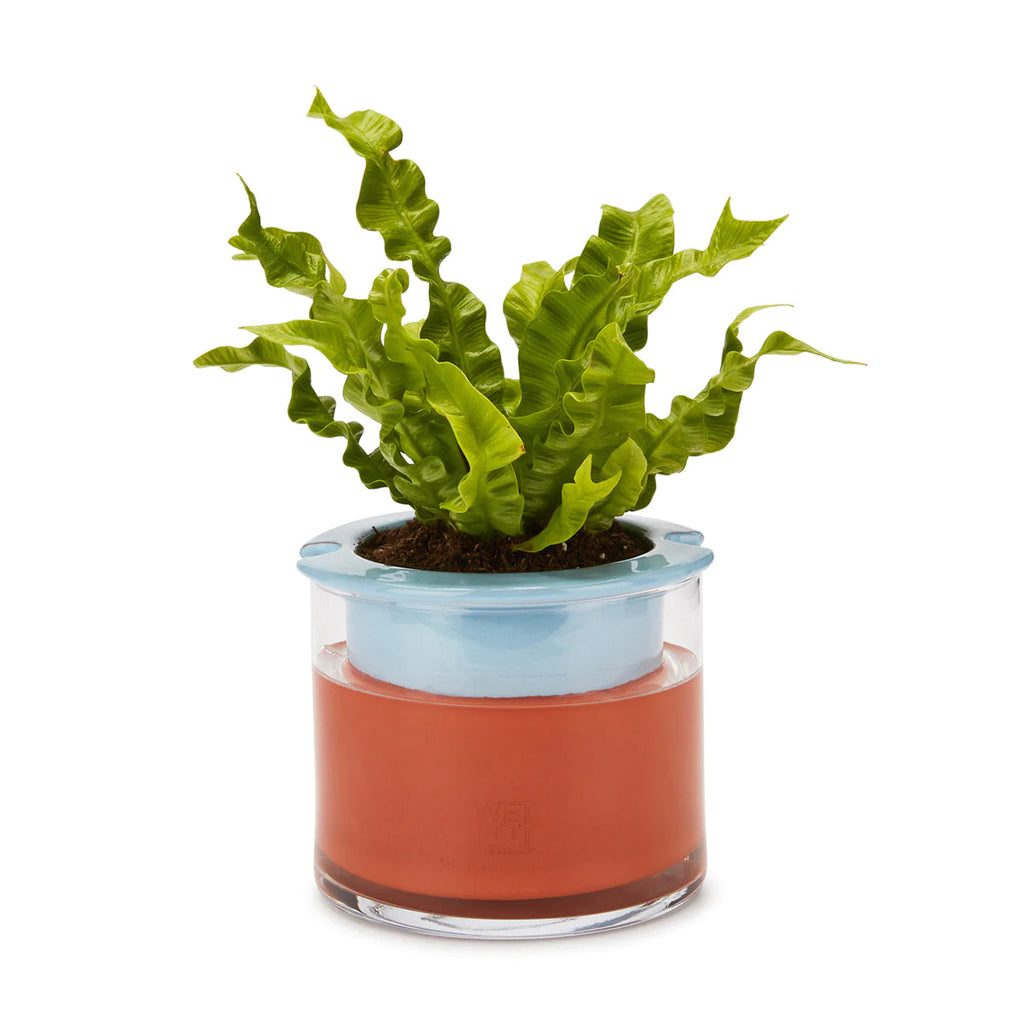 Wet Pot Planter Small Blue